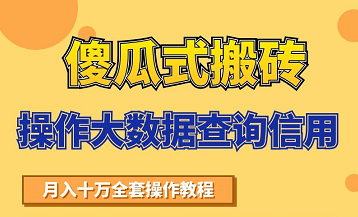 搬砖操作大数据查询信用项目赚钱教程,祝你快速月入6万-致富资源库