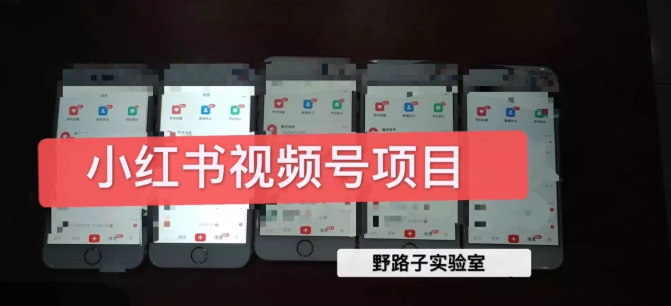 野路子小红书视频号1.0项目,直接上手操作就能赚钱的视频号项目-致富资源库
