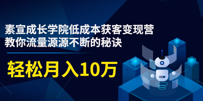 素宣成长学院低成本获客变现营,教你流量源源不断的秘诀,轻松月入10万-致富资源库