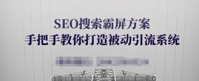 SEO搜索霸屏方案,手把手教你打造被动引流系统【视频课程】-致富资源库
