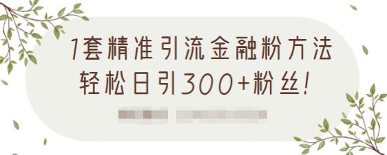 1套精准引流金融粉方法,轻松日引300+粉丝-致富资源库