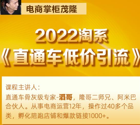 茂隆2022直通车低价引流玩法,教大家如何低投入高回报的直通车玩法-致富资源库