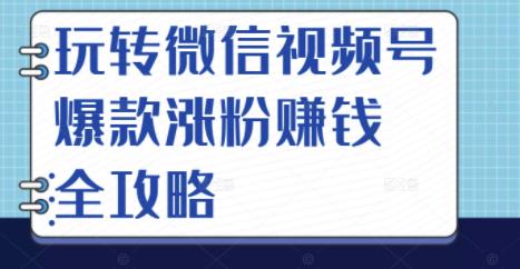 玩转微信视频号爆款涨粉赚钱全攻略,让你快速抓住流量风口,收获红利财富-致富资源库