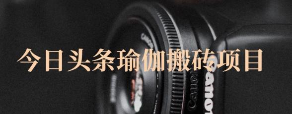 猎人社区·今日头条瑜伽搬砖项目,单号一天几十收入,可以批量操作!-致富资源库