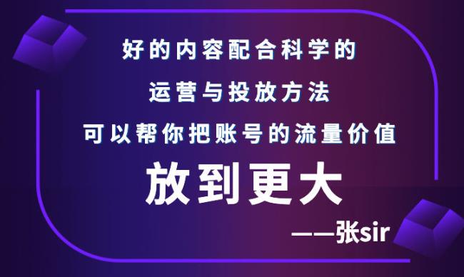 张sir账号流量增长课,告别海王流量,让你的流量更精准-致富资源库
