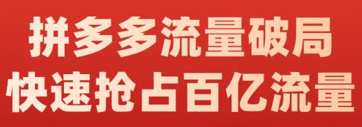 阿杰·拼多多流量破局:如何打黑标,爆款的思路,拼多多流量框架,快速抢占百亿流量-致富资源库