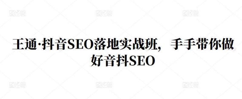 王通·抖音SEO落地实战班,手手带你做好音抖SEO-致富资源库