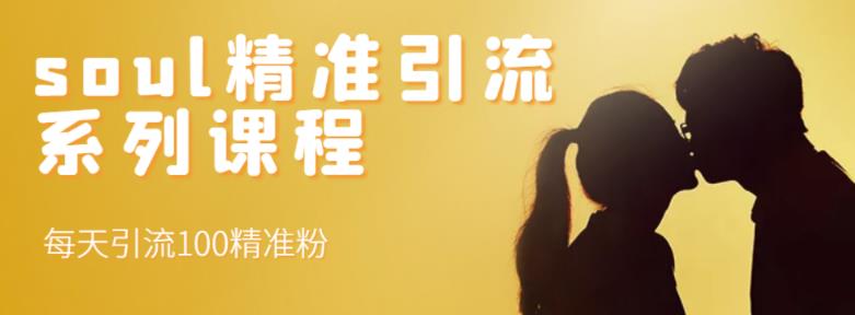 soul精准引流系列课程，每天引流100精准粉-致富资源库