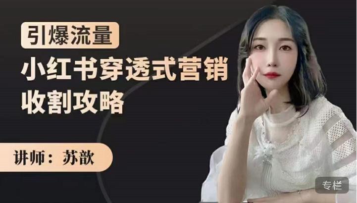 苏歆:小红书穿透式营销收割攻略,引爆流量,助你玩转小红书-致富资源库