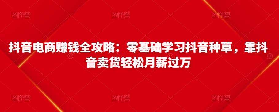 抖音电商赚钱全攻略:零基础学习抖音种草,靠抖音卖货轻松月薪过万-致富资源库
