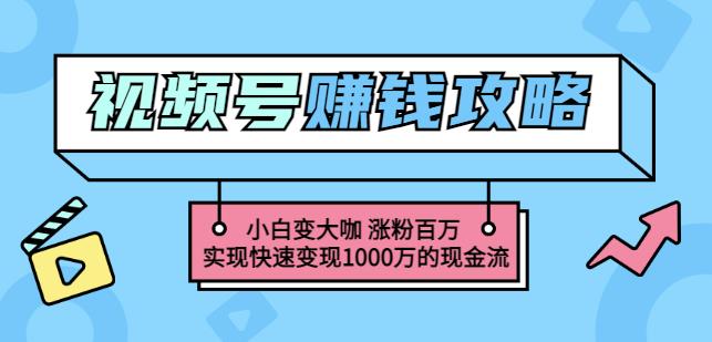 玩转微信视频号赚钱:小白变大咖涨粉百万实现快速变现1000万的现金流-致富资源库