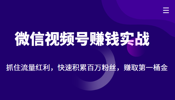 微信视频号赚钱实战:抓住流量红利,快速积累百万粉丝,赚取你的第一桶金-致富资源库