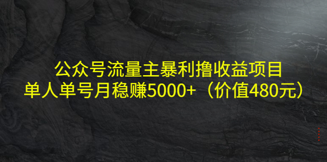 公众号流量主暴利撸收益项目，单人单号月稳赚5000+（价值480元）-致富资源库