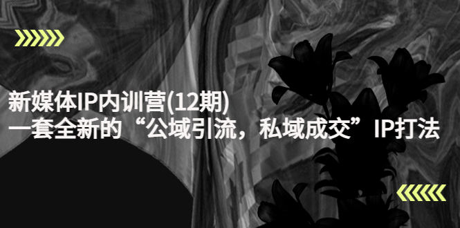 新媒体IP内训营(12期)，一套全新的“公域引流，私域成交”IP打法，直接带走-致富资源库