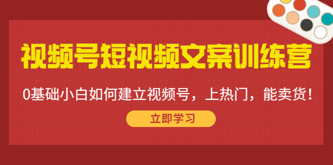 视频号短视频文案训练营：0基础小白如何建立视频号，上热门，能卖货！-致富资源库