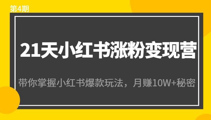 21天小红书涨粉变现营（第4期）：带你掌握小红书爆款玩法，月赚10W+秘密-致富资源库