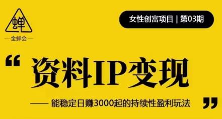 资料IP变现,能稳定日赚3000起的持续性盈利玩法-致富资源库