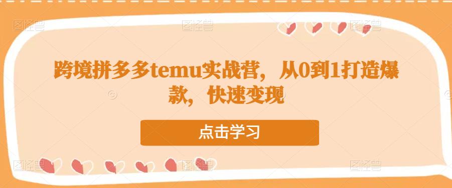 跨境拼多多temu实战营，从0到1打造爆款，快速变现-致富资源库