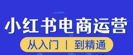 顽石小红书电商高阶运营课程,从入门到精通,玩法流程持续更新-致富资源库