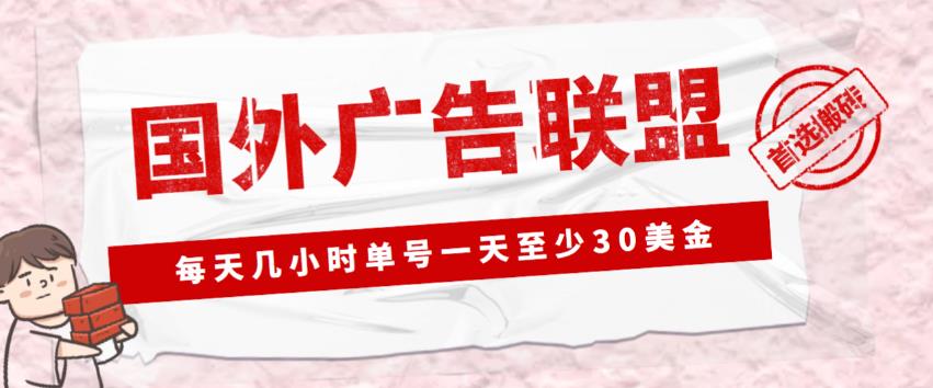 外面收费1980的最新国外LEAD广告联盟搬砖项目,单号一天至少30美金【详细玩法教程】-致富资源库
