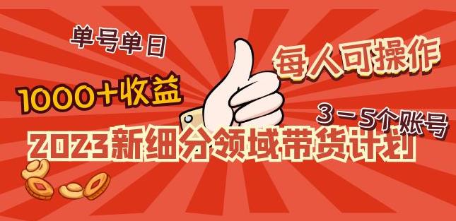 2023新细分领域带货计划:单号单日1000+收益不难,每人可操作3-5个账号-致富资源库