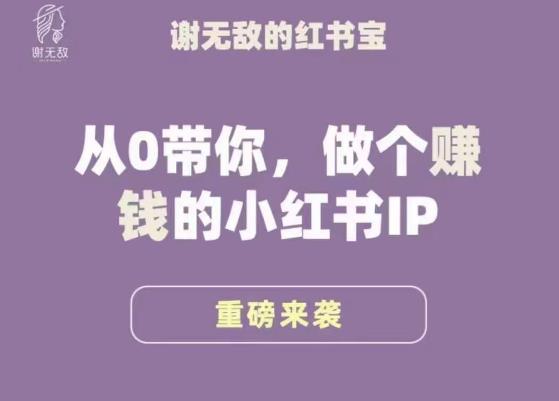 谢无敌·小红书运营大宝典,从0带你做个赚钱的小红书IP-致富资源库