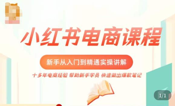 小红书电商新手入门到精通实操课,从入门到精通做爆款笔记,开店运营-致富资源库