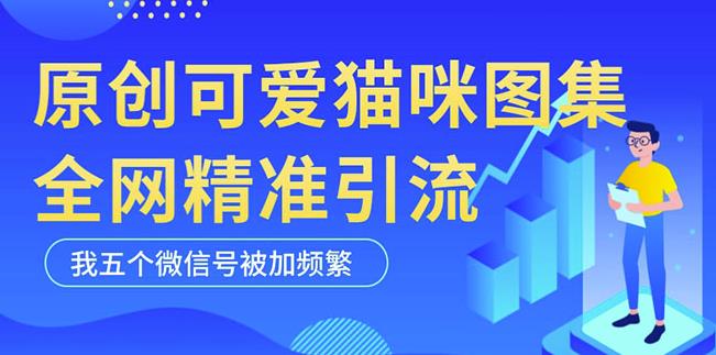 黑科技纯原创可爱猫咪图片,全网精准引流,实操5个VX号被加频繁-致富资源库