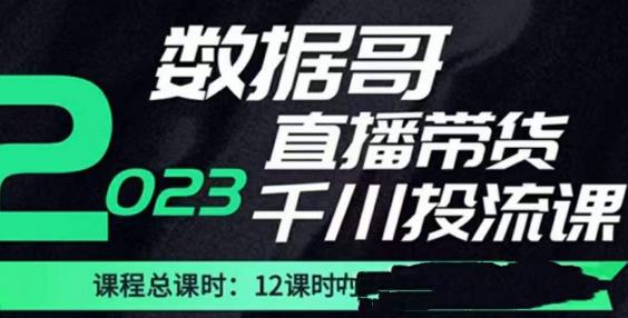 数据哥2023直播电商巨量千川付费投流实操课,快速掌握直播带货运营投放策略-致富资源库