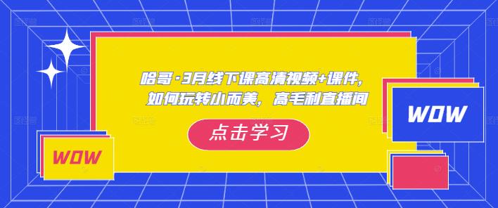 哈哥·3月线下实操课高清视频+课件，如何玩转小而美，高毛利直播间-致富资源库