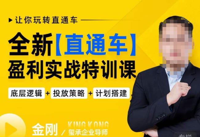 玺承·全新直通车盈利实战特训课,从底层逻辑详细拆解,从底层,策略到搭建,让你玩转直通车-致富资源库