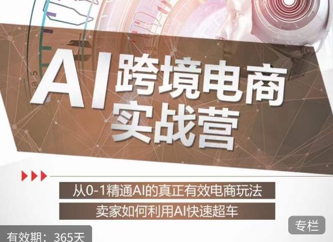 白龙老师·AI跨境电商实战营：从0-1精通Al的真正有效电商玩法，卖家如何利用Al快速超车-致富资源库