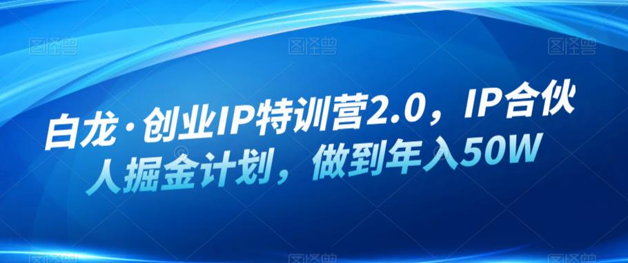 白龙·创业IP特训营2.0,IP合伙人掘金计划,做到年入50W-致富资源库