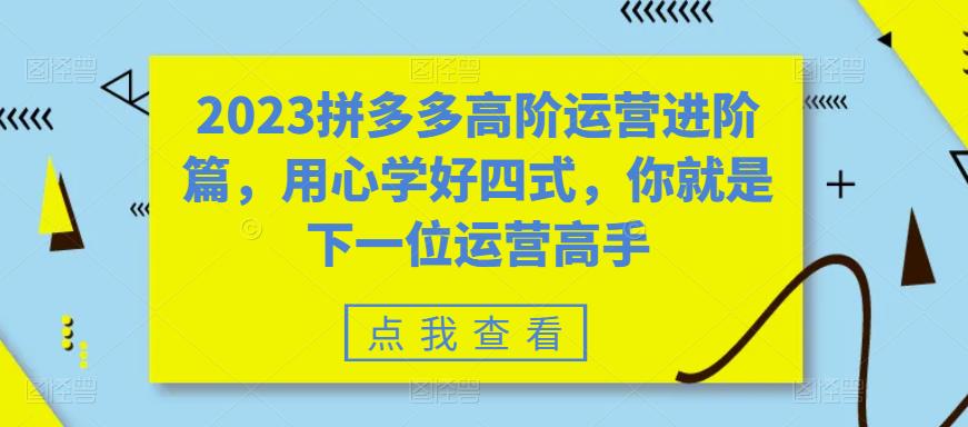 2023拼多多高阶运营进阶篇，用心学好四式，你就是下一位运营高手-致富资源库