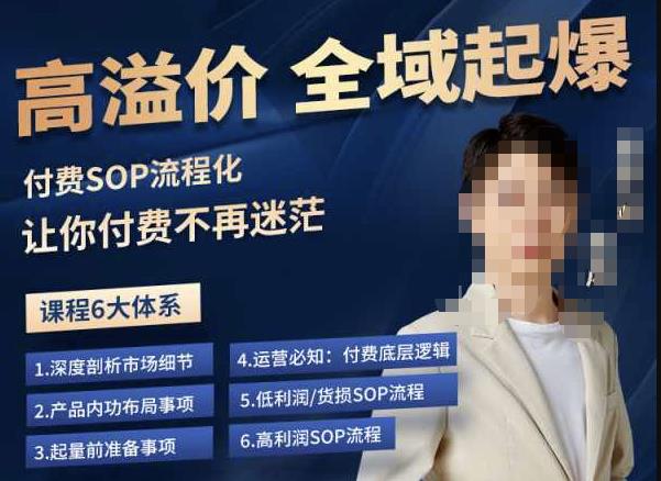 逸风-拼多多高溢价全域起爆，6大课程体系，付费玩法全套实操-致富资源库
