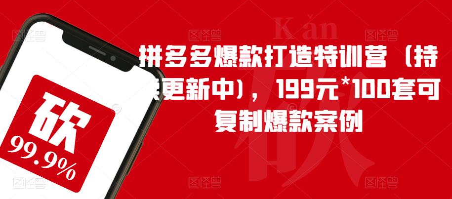 拼多多爆款打造特训营(持续更新中),199元*100套可复制爆款案例-致富资源库