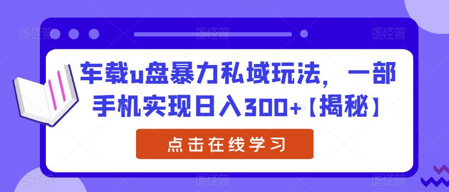 车载u盘暴力私域玩法，一部手机实现日入300+【揭秘】-致富资源库
