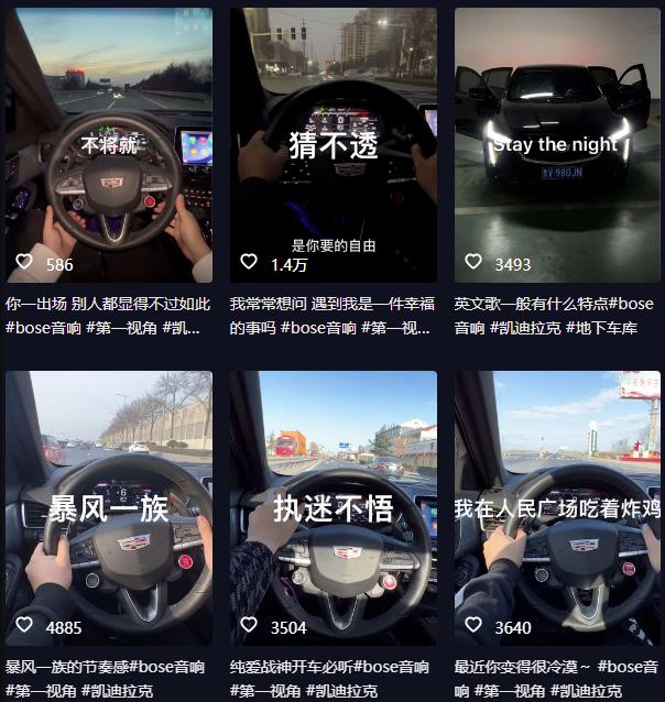 抖音开车视频项目,0基础操作,每天五分钟,月入1W+【揭秘】-致富资源库