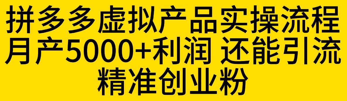 拼多多虚拟产品实操流程，月产5000+利润，还能引流精准创业粉【揭秘】-致富资源库