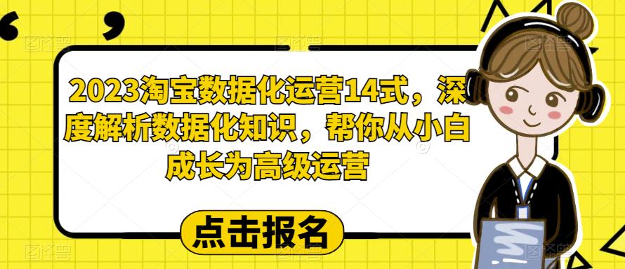 2023淘宝数据化运营14式,深度解析数据化知识,帮你从小白成长为高级运营-致富资源库