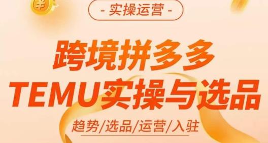 伍跃·跨境拼多多TEMU实操与选品,趋势/选品/运营/入住(27节完整)-致富资源库