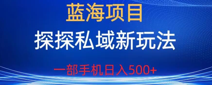 蓝海项目,探探私域新玩法,一部手机日入500+很轻松【揭秘】-致富资源库