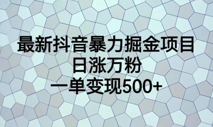 最新抖音暴力掘金项目，日涨万粉，一单变现500+【揭秘】-致富资源库