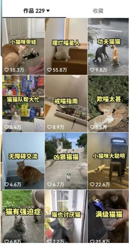 拆解:抖音盘点类中视频变现副业项目,视频版一条龙大解析分享给你-致富资源库