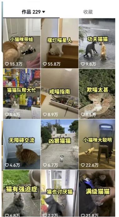 拆解抖音盘点类中视频变现副业项目，视频版一条龙大解析分享给你【视频课程】-致富资源库