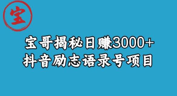 宝哥揭秘日赚3000+抖音励志语录号短视频变现项目-致富资源库