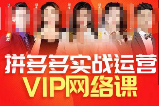 推易拼多多VIP全套直播课程，拼多多店铺实操玩法+实战玩法选款内功+直通车高阶等-致富资源库