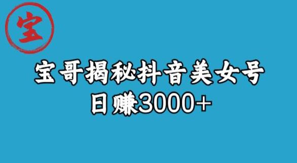 宝哥揭秘抖音美女号玩法,日赚3000+【揭秘】-致富资源库
