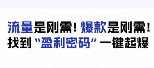 电商盈利精品课:6大盈利密码让产品更好卖,流量是刚需!爆款是刚需!找到”盈利密码”一键起爆-致富资源库