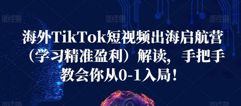 海外TikTok短视频出海启航营（学习精准盈利）解读，手把手教会你从0-1入局！-致富资源库